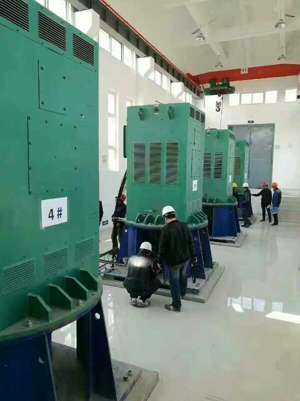 大荔某污水处理厂使用我厂的立式高压电机安装现场